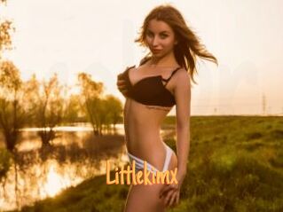 Littlekimx