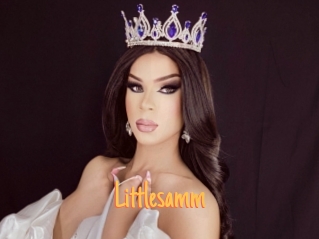 Littlesamm