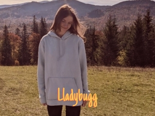 Lladybugg