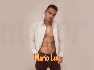 Mario_Levi