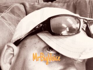 MrBigVoice