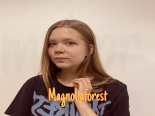 Magnoliaforest