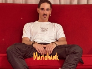 Mariohawk