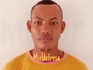 Mieldefresa