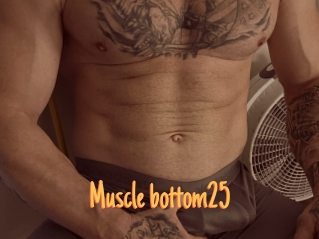 Muscle_bottom25
