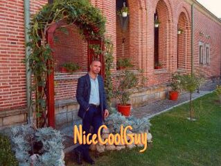NiceCoolGuy