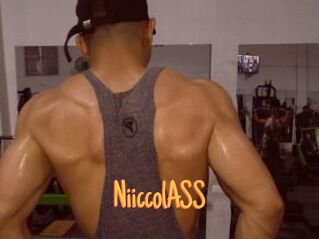 NiiccolASS