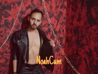 NoahCum