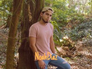 NoahDiaz