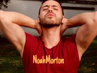 NoahMorton