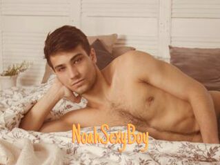 NoahSexyBoy