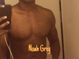 Noah_Grey