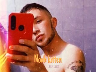 Noah_kitten