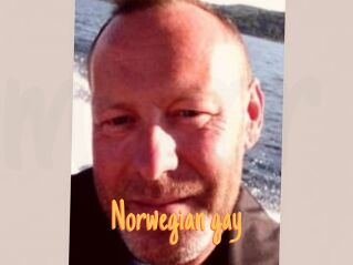 Norwegian_gay
