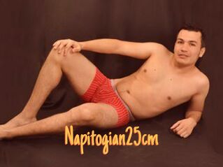 Napitogian25cm