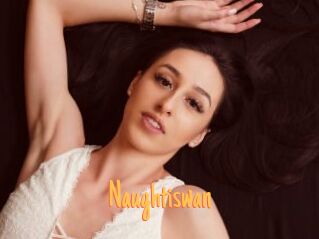 Naughtiswan