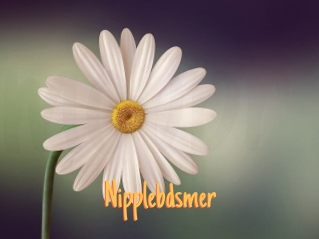 Nipplebdsmer