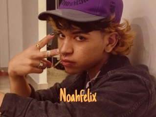 noahfelix Mobile Porno