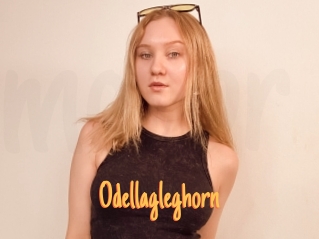 Odellagleghorn