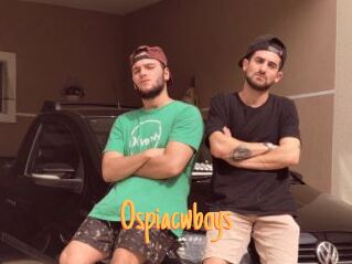 Ospiacwboys