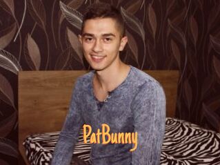 PatBunny