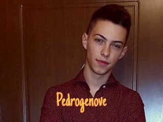 Pedrogenove