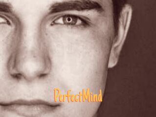 PerfectMind Mobile Porno