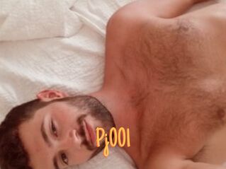 Pj001