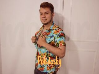 Polsdosky
