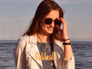 Palilasilk