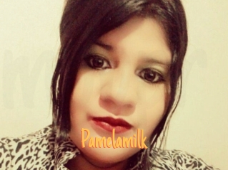 pamelasuite Mobile Porno