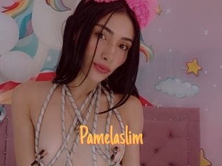 Pamelaslim