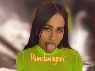 Pamelawaynex