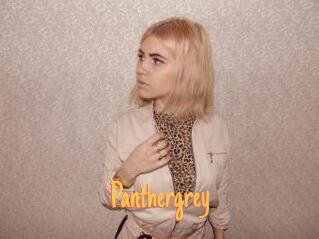 Panthergrey