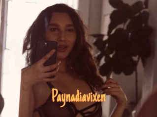 Paynadiavixen
