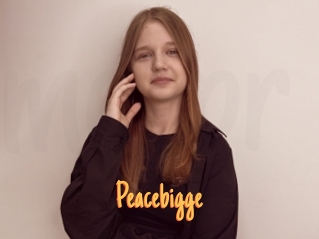 Peacebigge