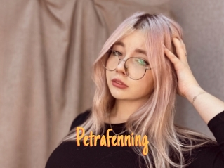 Petrafenning