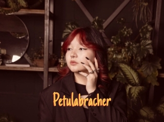 Petulabracher