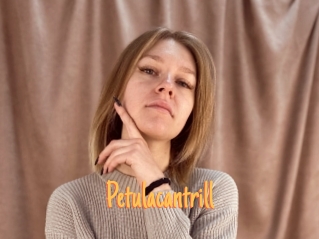 Petulacantrill