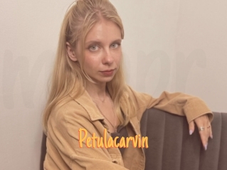 Petulacarvin