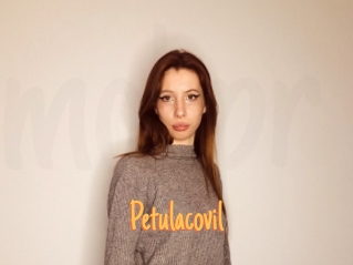 Petulacovil