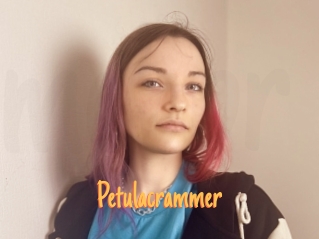 Petulacrammer