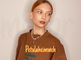 Petulaheimweh