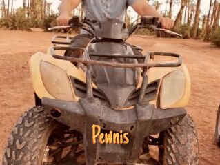 Pewnis