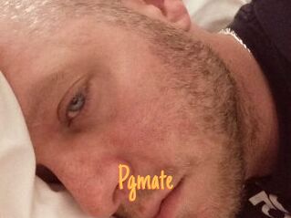 Pgmate