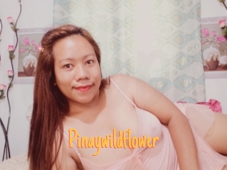 Pinaywildflower