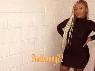 Pinkbunny22