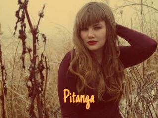 Pitanga