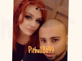 Pitbull8699