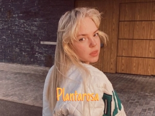 Plantarosa